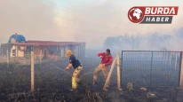 Silivri’deki yangında 100 hektar ormanlık alan zarar gördü.