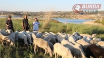 Çobanlık yaparken 2 dil öğrendi, üniversiteyi birincilikle mezun oldu