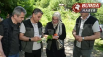 Kestane ağaçlarını korumak için 5 bin samuray arısı doğaya salındı
