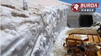Bingöl’de haziranda karla mücadele devam ediyor