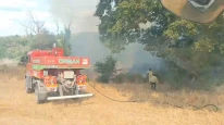Subaşı'da Ormanlık Alanda Çıkan Yangın Kontrol Altına Alındı