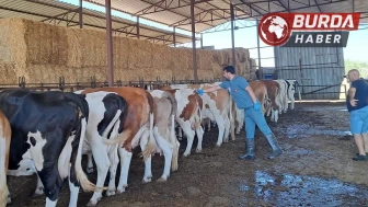 Aydın’ın Nazilli İlçesinde 13 Mahalle Karantinaya Alındı