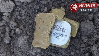 Diyarbakır’ın Bağlar ilçesinde havadan kuduz aşısı bırakıldı.