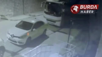 Sivas'ta Sokak Köpeklerinin Yol Açtığı 108 Bin TL'lik Zarar!