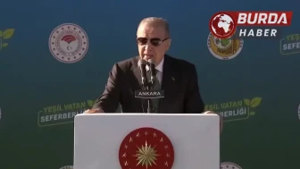 Erdoğan'dan Ağaçlandırma Günü Vizyonu: 2053'e Net Sıfır Emisyon Hedefi