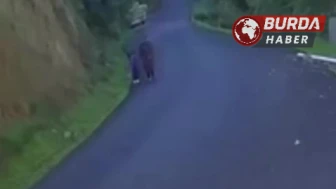 Kastamonu'da 5 Yaşındaki Osman'ın Cesedi Bulundu, Anne Kayıp