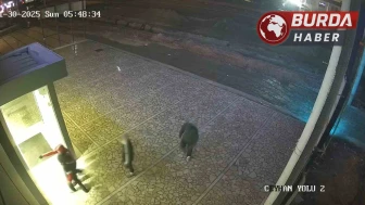 Adana'da 4 Çocuk Motosiklet Galerisinden 4 Motosiklet Çaldı