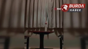 Japonya'da 7.6 Büyüklüğünde Deprem Sonrası Tsunami Uyarısı Verildi