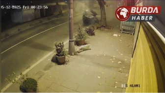 Beykoz'da Ehliyetsiz Sürücünün Kontrolden Çıkan Otomobili Ağaca Çarptı