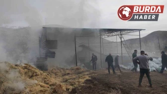 Malatya'da Besi Çiftliğinde Yangın: Maddi Hasar Meydana Geldi