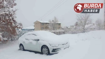 Van'da Yoğun Kar Yağışı: 11 Yerleşim Yolu Ulaşıma Kapandı