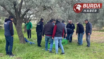 Bunalımdaki adam, zeytin bahçesinde ölü olarak bulundu.