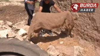 Şanlıurfa’da 11 yıl önceki çocuk cinayetinin sırrı çözüldü!