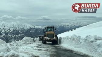 Muş’taki kar yağışı nedeniyle 19 köy yolu ulaşıma kapandı.