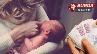 Doğum yardımı yönetmeliği Resmi Gazete’de yayımlandı.