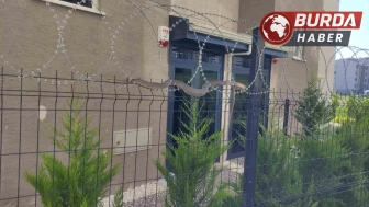 Tellere dolanan 1,5 metre boyundaki yılan vatandaşları korkuttu.