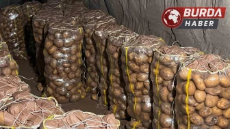 Yurt dışından gelen 2 bin tondan fazla patates virüslü çıktı.