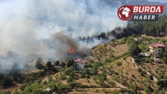 Kahramanmaraş’taki orman yangınında 5,5 hektar zarar gördü.