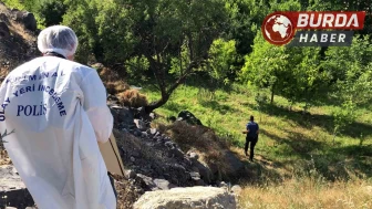 Elazığ’da ağaca asılı halde kimliği belirsiz erkek cesedi bulundu.