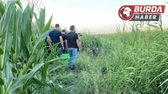 Adana’da sazlıklar arasında bir kişi ölü olarak bulundu.