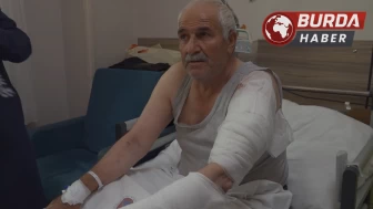 Van'da ot biçen vatandaş kurdun saldırısına uğradı.
