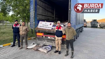 Van’da 22 ton 475 kilogram kaçak avlanmış balık yakalandı.