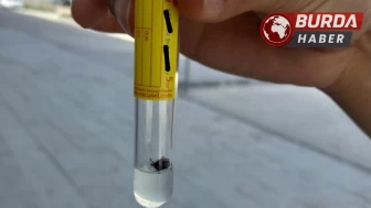 Tokat’ta KKKA şüphesiyle tedavi gören anne hayatını kaybetti.