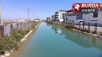 Seyhan’da sulama kanalında erkek cesedi bulundu.