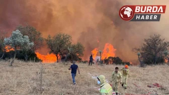 Aydın genelinde hafta sonu 11 farklı noktada yangın çıktı.