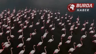 Aslan: "Allı turnalar selam getirmeye başladı"
