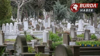 TÜİK verilerine göre ölüm sayısı 2024 yılında 489 bin 361 oldu.