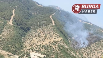 Manisa’da orman yangınına havadan ve karadan müdahale ediliyor.