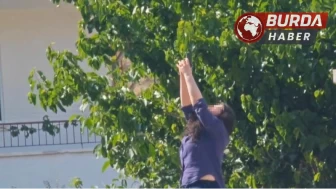 Erkek arkadaşının ofisini kurşunladıktan sonra intihara kalkıştı.