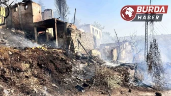 Ankara’da ağaçlık alanda başlayan yangın gecekondulara sıçradı