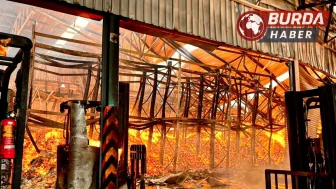 Tayland’da kağıt fabrikasında yangın: 8 kişi öldü