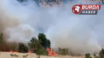 Gerger’de meydana gelen orman yangını korkuttu.