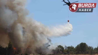 İzmir'in Buca ilçesindeki yangına müdahale devam ediyor.