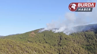 Çankırı-Kastamonu sınırındaki orman yangınının çıkış anı kamerada!