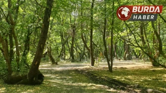 Karaman’da ormanlık alanlarda piknik yapmak yasaklandı.
