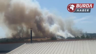 Bursa’da ormanlık alandan alevler yükselmeye başladı.