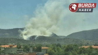 Yangınlar bu defa Selçuk’a sıçradı, karadan müdahale yapılıyor.
