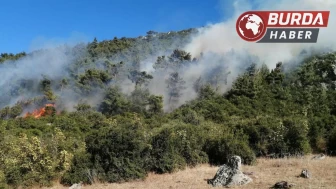 Manisa’daki orman yangınlarına bir yenisi daha eklendi.