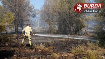 Burhaniye’de orman yangınına müdahale devam ediyor.