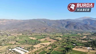 3 gündür süren orman yangını sonrası Ödemiş’in dağları siyaha büründü.