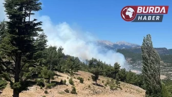 Isparta’nın Sütçüler ilçesinde ormanlık alanda yangın çıktı.