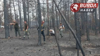 Bursa’da yanan ağaçları havadan ve karadan tek tek saydılar.