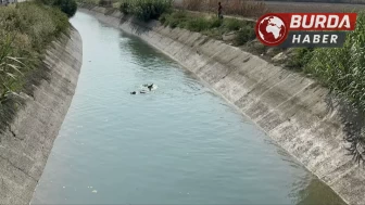 Kanala düşen cep telefonunu ararken hayatından oldu.