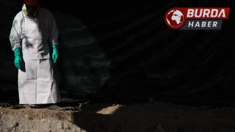 Meksika’da bir özel mülkteki gizli mezarlarda 32 ceset bulundu.