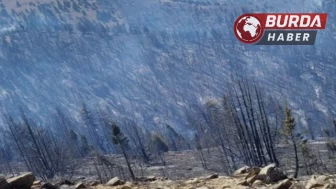 Kahramanmaraş’taki orman yangını ile mücadele sürüyor.