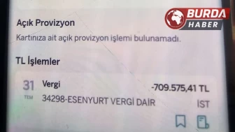 Sahte reklama kanan iş kadını, 700 bin lira dolandırıldı.